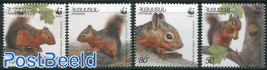 WWF, Squirrels 4v