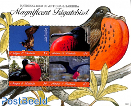 Magnificent Frigatebird 4v m/s