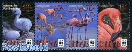 WWF, Flamingo 4v [:::]