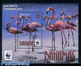 WWF, Flamingo s/s