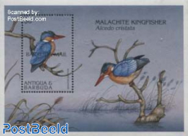 Malachite Kingfisher s/s