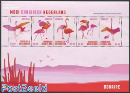 Birds Bonaire 5v m/s