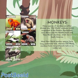Monkeys 5v m/s