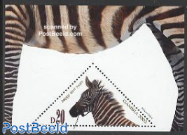 Newyear, Zebra s/s