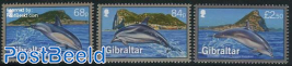 Dolphins 3v