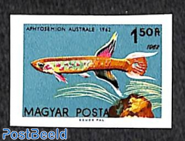 Fish 1v (2x year 1962) imperforated