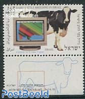 Cattle 1v