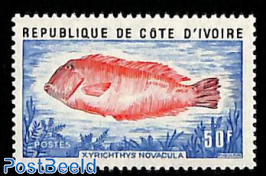 Fish (Xyrichthys Novacula) 1v