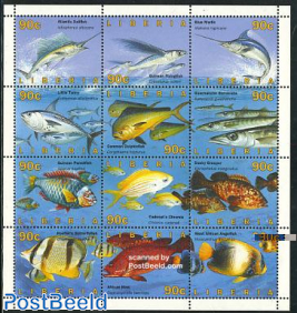 Fish 12v m/s