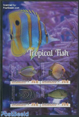 Tropical fish 4v m/s