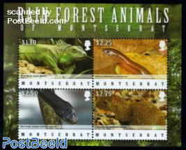 Rain forest animals 4v m/s