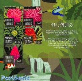 Bromeliads 5v m/s