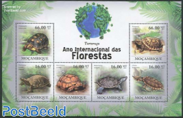 Int. Forest year, Turtles 6v m/s