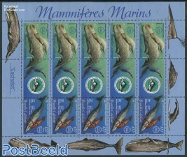 Sea mammals m/s