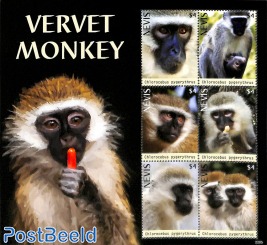 Vervet Monkey 6v m/s