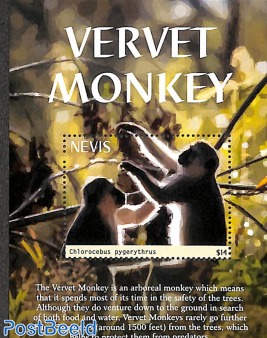 Vervet Monkey s/s