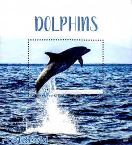 Dolphins s/s