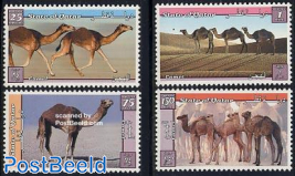Camels 4v