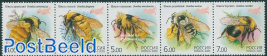 Insects 5v, Bombus [::::]