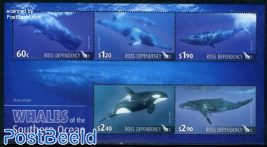Whales 5v m/s