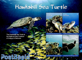 Hawksbill Sea Turtle 4v m/s