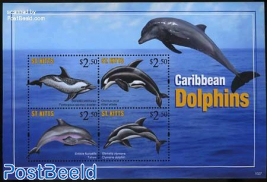 Caribbean dolphins 4v m/s