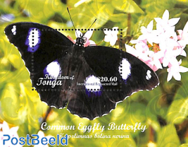 Common Eggfly Butterfly $20.60 s/s