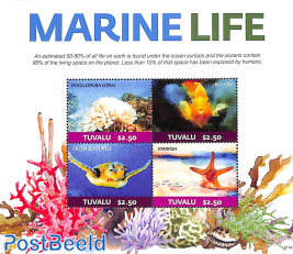 Marine life 4v m/s