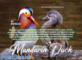 Mandarin duck s/s