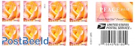 Peace rose booklet, double sided s-a