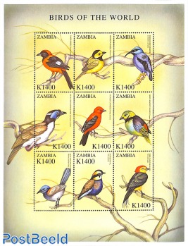 Birds 9v m/s (9x1400K)