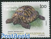 Turtle 1v