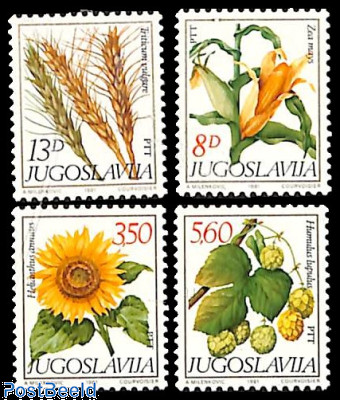 Flora 4v