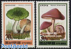 Mushrooms 2v