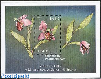 Orchids s/s, Ophrys apifera