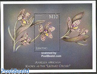 orchids s/s, Ansella africana