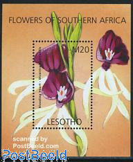 South African flowers s/s