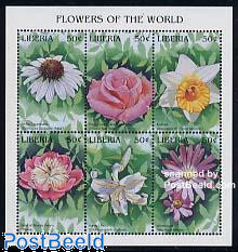Flowers 6v m/s, White Coneflower