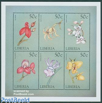 Orchids 6v m/s, Dis cardinalis