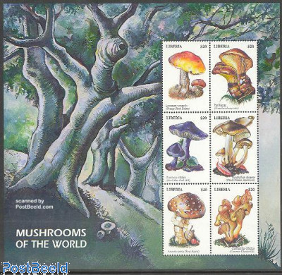 Mushrooms 6v m/s, Leccinum
