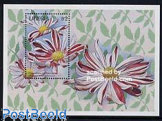 Chrysanthemum Potomac s/s