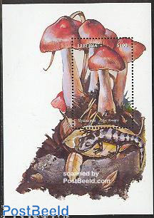 Mushroom s/s, Mycena pura