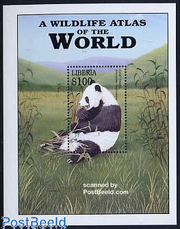 Panda s/s