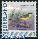 Birds, Yellow Wagtail 1v