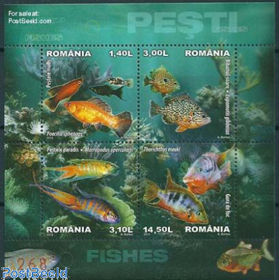 Fish, Special s/s