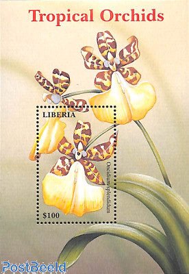 Orchids s/s
