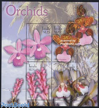 Orchids 4v m/s, Dimerandra