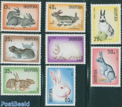 Rabbits 8v