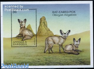Bat-eared fox s/s