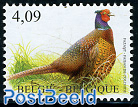 Birds, Pheasant 1v